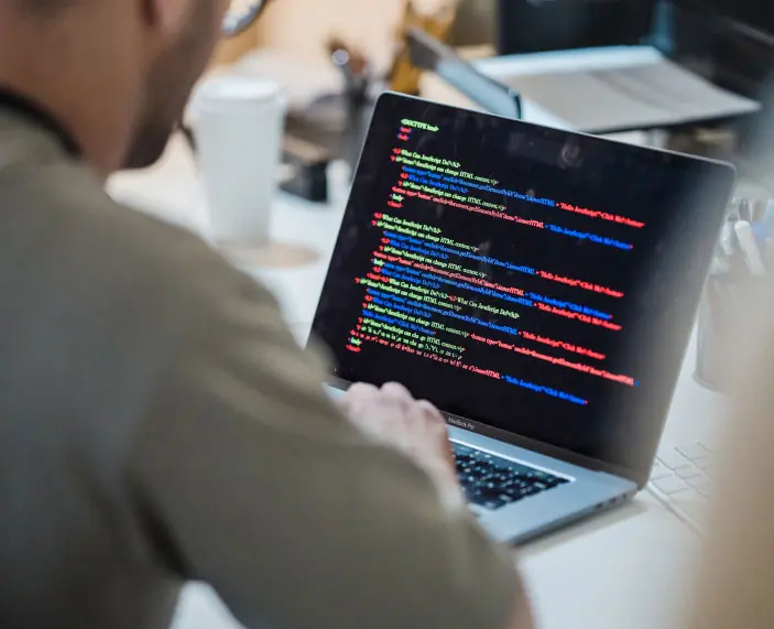 Person Working on Laptop 3